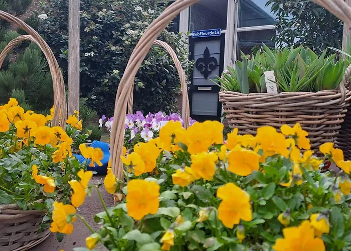 Fleurdelis