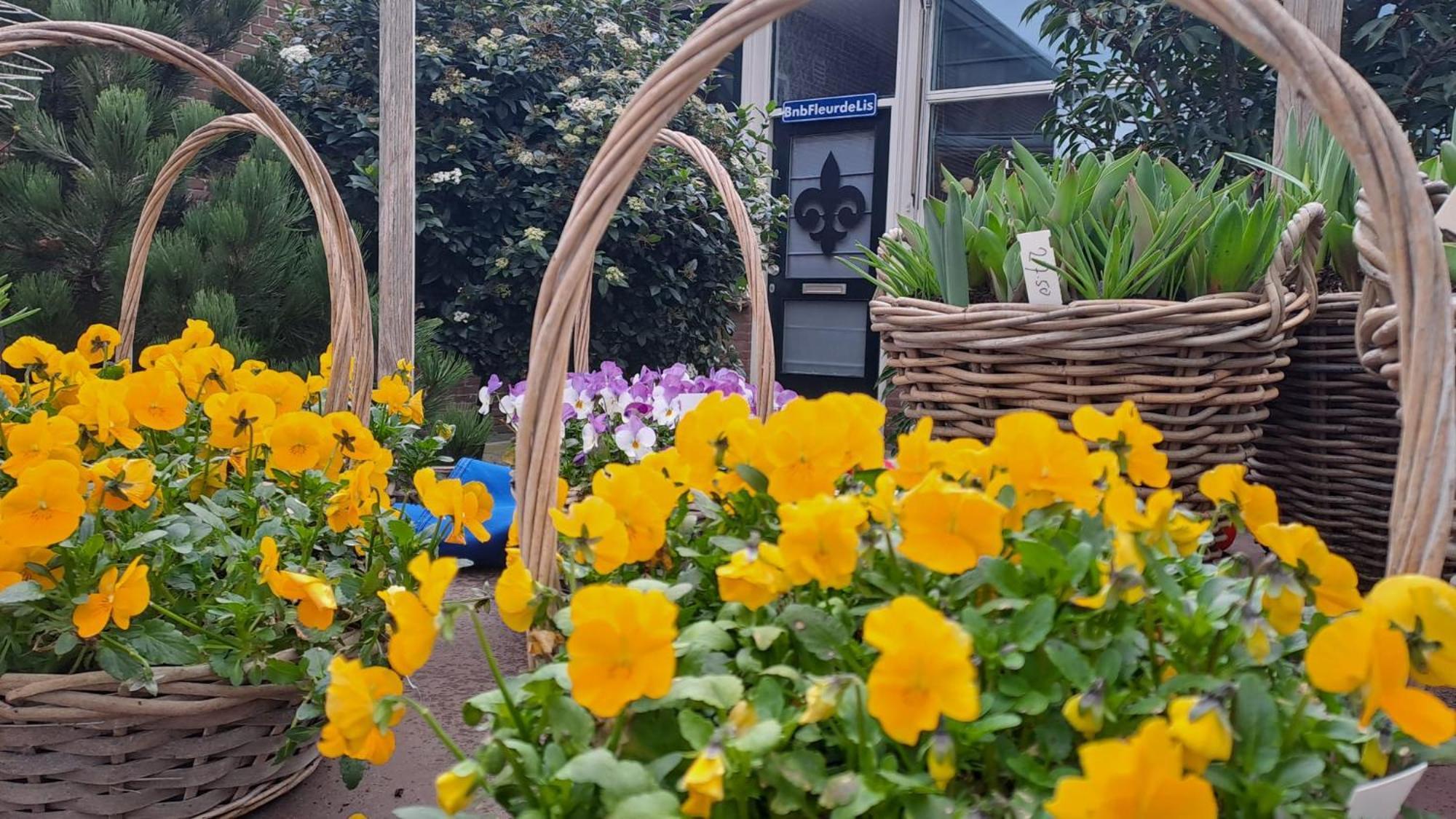 Fleurdelis